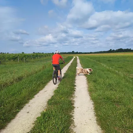 Lägenhet Le 1864 Courbillac