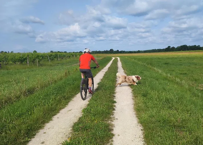 Apartmán Le 1864 Courbillac